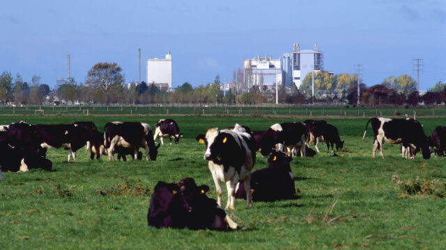 New Zealand Fonterra