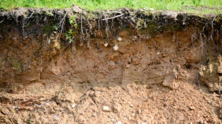 Shooting in the dark in the absence of a soil test