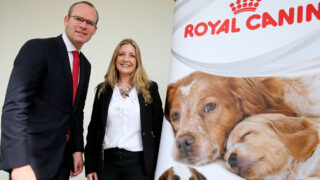 Welfare legislation gives more power to authorities, and fines of €250,000