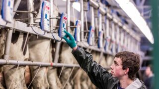 Glanbia offers FMP an extra cent per litre for three months
