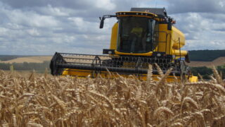 UK harvest 80% done, following 500,000ha push this week