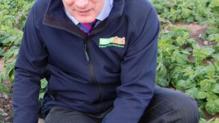 Costs and younger people see potato sales decline