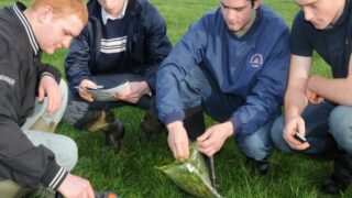 Division in Europe over supports for young farmers