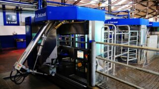 DeLaval milking robots installed to milk 4,500 cows in Chile