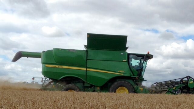 combine, harvest, IFA, growers