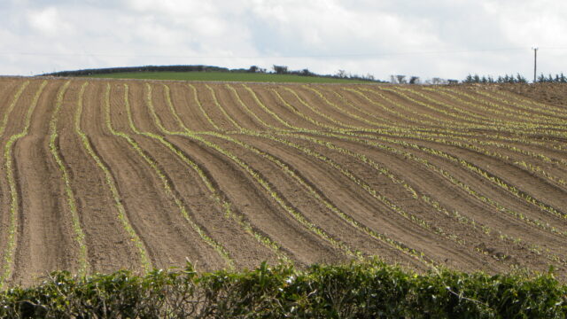emissions, winter crops,