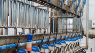 New sharemilkers set to be hit hardest by Fonterra milk price cut