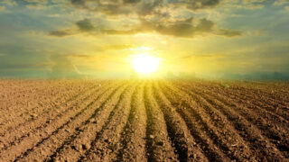 Reflections on a challenging year for farmers