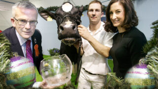 Clean sweep for southern dairy breeders at Winter Fair