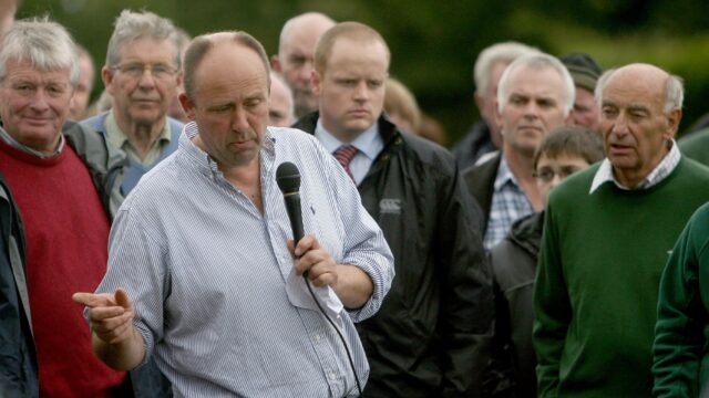 Stabiliser beef herd
