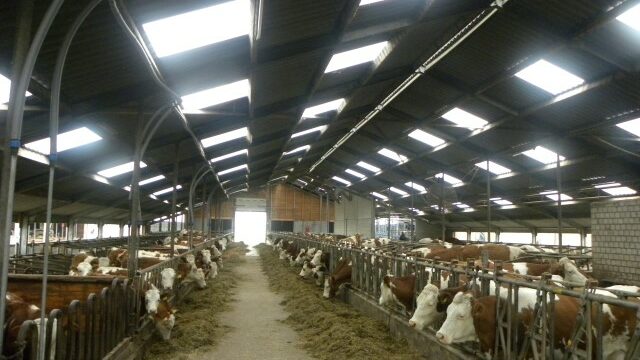 farmers