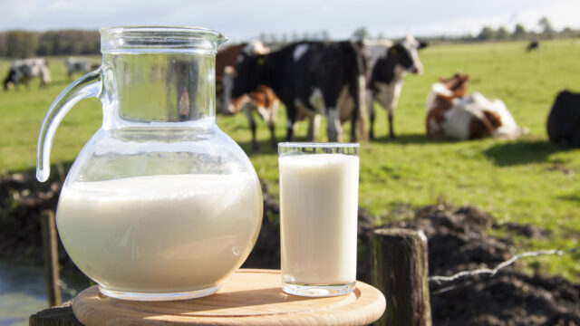 dairy superlevy