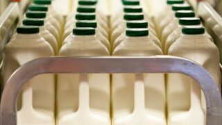 UK milk processor introduces milk ‘price floor’ at 23p/L