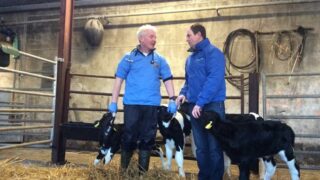 How one farmer went from treating 20% of calves for pneumonia to none
