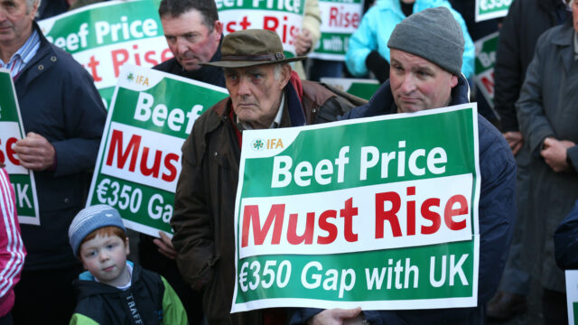 irish beef prices