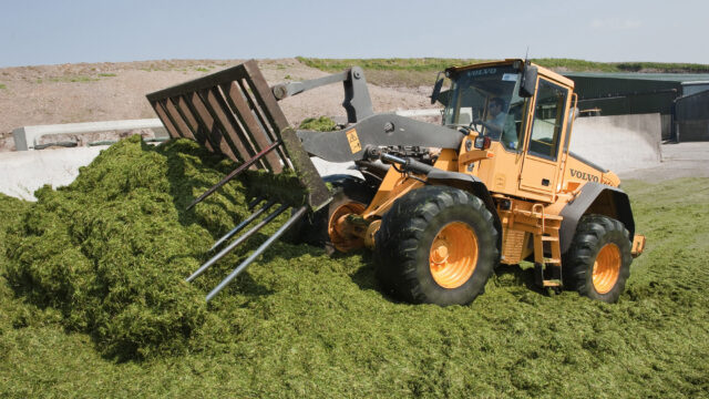 Pay silage