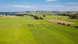 See pictures of a massive 2,900 acre New Zealand farm that’s for sale