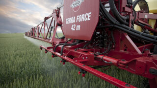 Bees may develop addiction to certain pesticides