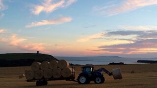 Is this the most photogenic farm on the internet? Instagram followers think so!