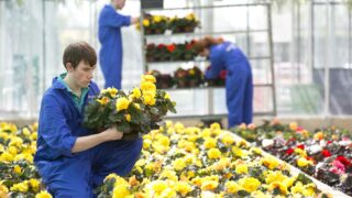 Agricultural college to hold open day for upcoming courses