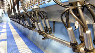 Arla UK to hold its May milk price