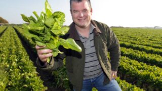 Dublin grower to provide first season spinach this year