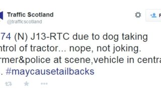 Barking mad: dog crashes tractor it’s driving!