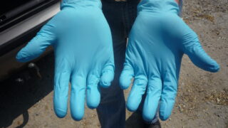 Gloves-looking after your cows and hands – AHI