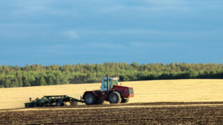 Strengthening futures’ market could encourage last season’s wheat to be stored
