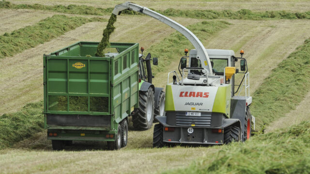 silage