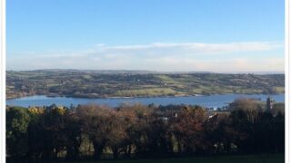 Is this the best dairy staff canteen in the world?