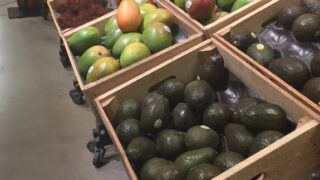 France is to ban supermarkets throwing away edible food