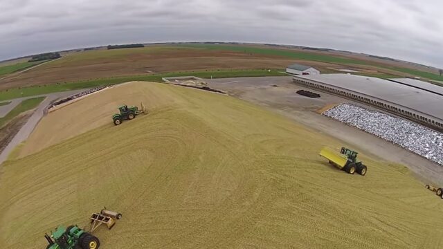 silage