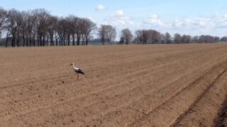 Farming opportunities abound in western Poland
