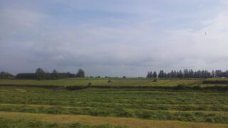 How to minimise the mould and mycotoxin risks in silage – Alltech