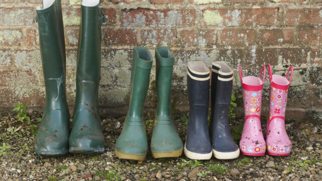 farm safety, farm accident