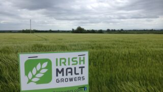 New malting barley group to seek contract price negotiating rights
