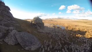 Amazing video of farmer herding thousands of sheep from the sky