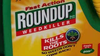 Glyphosate has become the most heavily used weed-killer in history