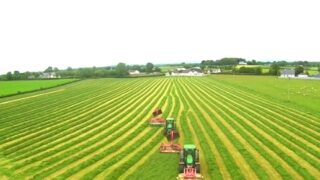 Silage video: Gobbling grass from a height