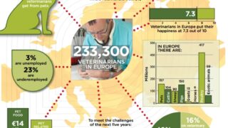 Responsible use of medicines part of EU vets’ five-year plan