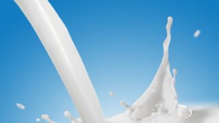 Would you try camel milk? Ray D’Arcy did on live radio