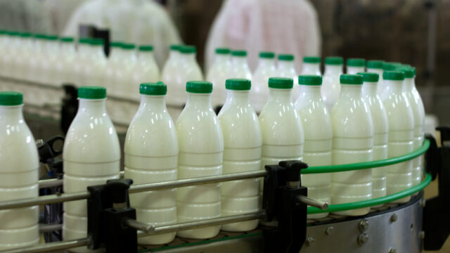 Milk processors, dairy