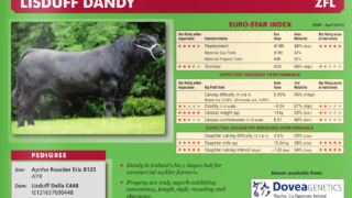 AI bull ‘Lisduff Dandy’ still in service, says Dovea