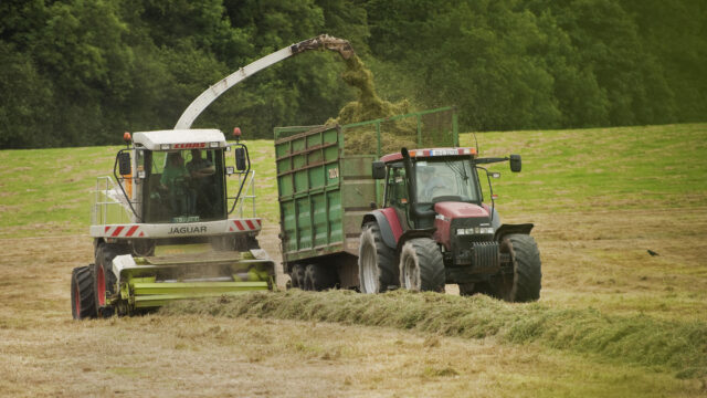 silage