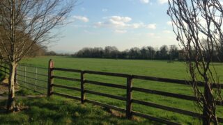 The EU spends €4 billion policing farmers every year