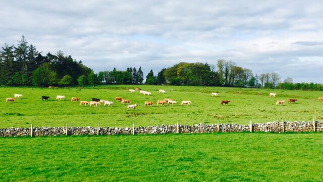 Teagasc farmers