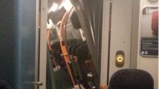 Five cows killed after train hits herd and is derailed