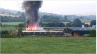 400 piglets and 32 sows killed in Co. Tyrone farm fire