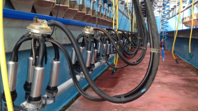 dairy farmers milk prices EU